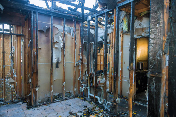 Professional Smoke Damage Removal technician working in New Lisbon, WI